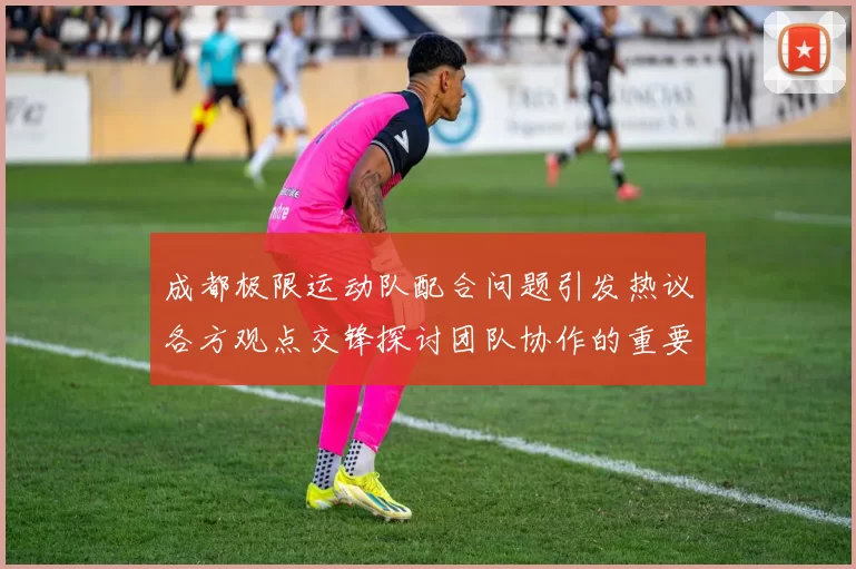 成都极限运动队配合问题引发热议各方观点交锋探讨团队协作的重要性MBA